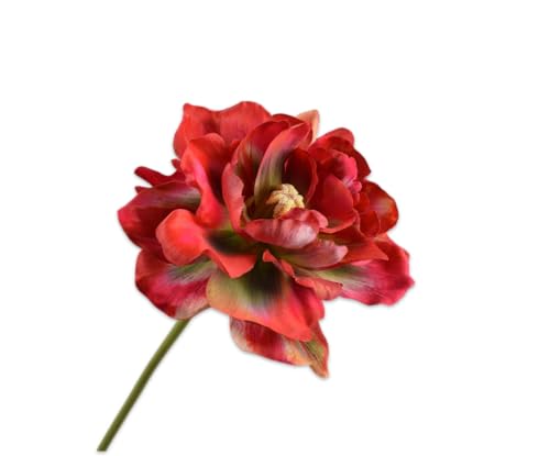 Silk-ka Kunstblumen - Seidenblumen Tulpenstiel Rot-Grün 69cm pro 2 Stück Silk-ka Kunstblumen - Seidenblumen Tulpenstiel Rot-Grün 69cm pro 2 Stück von Silk-ka