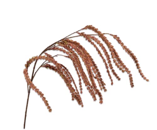 Silk-ka Kunstblumenseide Amaranthus Hang Braun 114 cm Silk-ka Kunstblumenseide Amaranthus Hang Braun 114 cm von Silk-ka