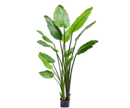 Silk-ka Kunstpflanze Strelitzia Seidengrün 183 cm von Silk-ka