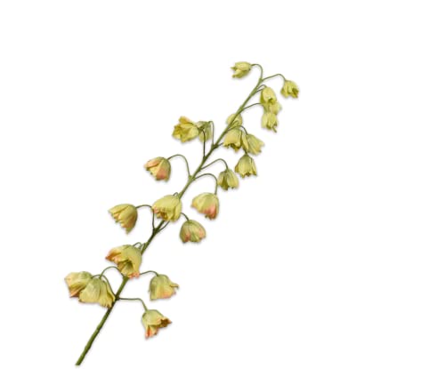 Silk-ka Seidenblume-Kunstblume Fritillaria Stengel Grün 95 cm von Silk-ka