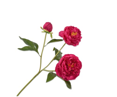 Silk-ka Seidenblume-Kunstblume Pfingstrosenzweig Rosa 76 cm von Silk-ka