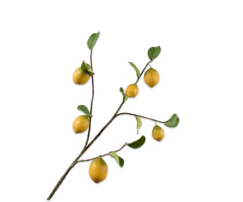 Silk-ka Seidenblume-Kunstblume Zitronenzweig Gelb 92 cm von Silk-ka