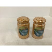 Vintage Prospect Point Niagara Falls Luster Salz Und Pfefferstreuer Souvenir von SilkPursesNSowsEars
