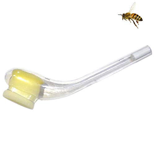 SilkRoadSupply Rohrtyp Bee Queen Catcher Queen Biene Trapping -Werkzeug Imkere Essentiell Muss Kunststoffmaterial kompakte Größe 5,90 x 0,78 x 0,39 Zoll für Honigbiener u von SilkRoadSupply