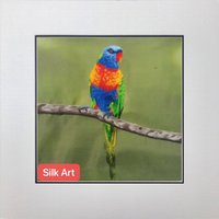 King Silk Art Handarbeit Stickerei Vogel Papagei Regenbogen Lorikeet 31153 von SilkartAustralia