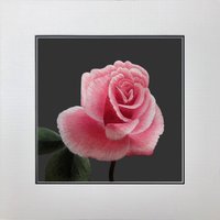 König Seide Kunst Handarbeit Stickerei Blume Rosa Rose 36104 von SilkartAustralia