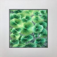König Seide Kunst Handarbeit Stickerei Blumen Grüne Seerose 37099 von SilkartAustralia
