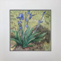 König Seide Kunst Handarbeit Stickerei Blumen Van Gogh Iris 36087 von SilkartAustralia
