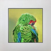 König Seide Kunst Handgefertigte Stickerei Natur Vögel Papagei Militär Ara 31064 König Seide Kunst Handgefertigte Stickerei Natur Vögel Papagei Militär Ara 31064 von SilkartAustralia