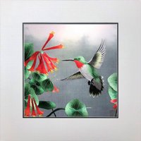 König Seide Kunst Handgefertigte Stickerei Wildtiere Kolibri 31226 von SilkartAustralia
