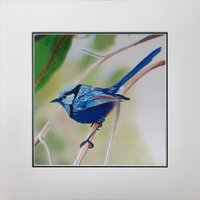 König Seide Kunst Handgefertigte Stickerei Wildtiere Vogel Zaunkönig 31107 von SilkartAustralia