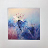 König Seide Kunst Handgemachte Stickerei Lotusblume 36220 von SilkartAustralia