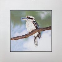 König Seide Kunst Handgefertigte Stickerei Wildtiere Vogel Kookaburra 31157 von SilkartAustralia