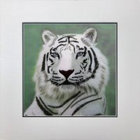 Seide König Wildtiere Weiß Tiger 34124 von SilkartAustralia