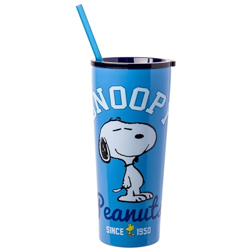 Silver Buffalo Peanuts Doppelwandiger Edelstahlbecher mit Strohhalm mit Snoopy und Woodstock, 625 ml von Silver Buffalo