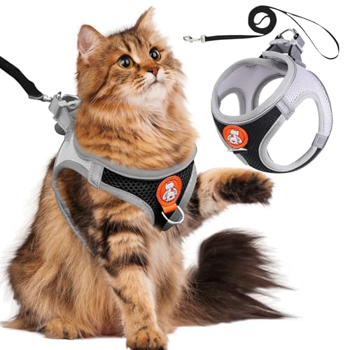 SilverChry Katzengeschirr mit Leine Ausbruchsicher, Katzenleine mit Geschirr für Katzen, Katzengeschirr Einfach Anzulegen mit Reflektierenden Streifen für Katzen und Kleine Hunde(S-Schwarz) von SilverChry