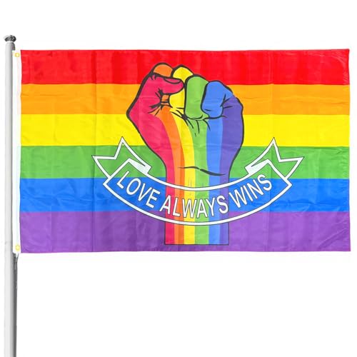 SilverChry Regenbogenfahne 90x150cm, Regenbogen Flagge, Gay Pride Flagge, Schwule Stolz Flagge, Rainbow Flagge Pride, Regenbogen Flagge für Garten Draußen Dekoration, Lgbtq Flagge Pride (Stil 2) von SilverChry