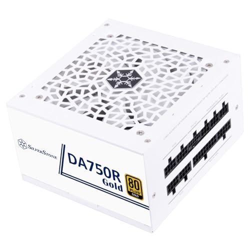 SilverStone Technology DA750R Gold, 80 Plus Gold vollständig modulares ATX-Netzteil, 750W, ATX 3,0 & PCIe 5,0, SST-DA750R-GMA-WWW von SilverStone