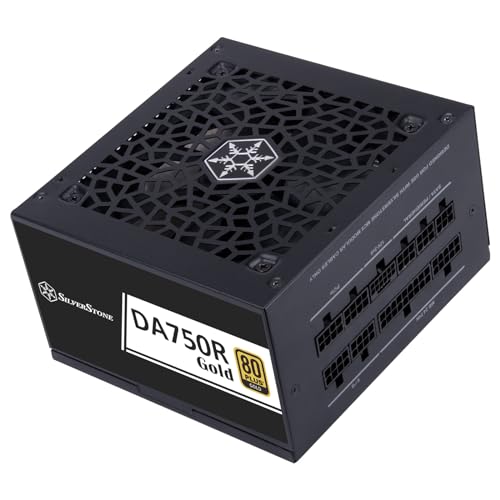 SilverStone Technology DA750R Gold, 80 Plus Gold vollständig modulares ATX-Netzteil, 750W, ATX 3,0 & PCIe 5,0, SST-DA750R-GMA von SilverStone