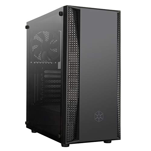 Silverstone FARA B1 Noir von SilverStone