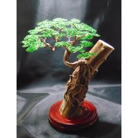 Drahtbonsai, Drahtbaum von SilverleafTree