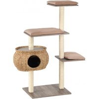 Katzenboy Cosy von Silvio Design