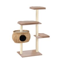 Katzenboy Cosy von Silvio Design
