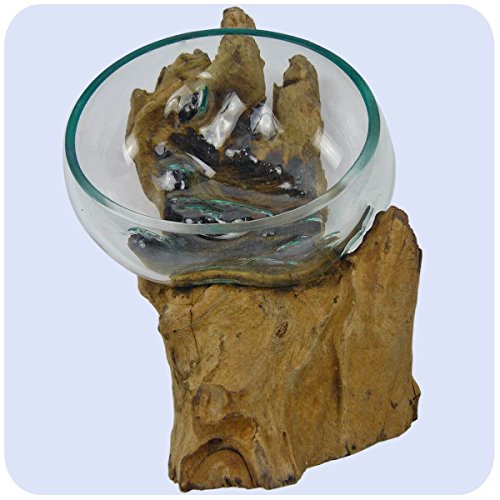 Wurzelholz Glas-Vase Wurzel-Vase Deko-Glas Geschenk Unikat Objekt Design Blumenvase Schale von Simandra