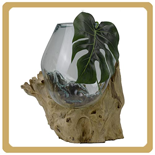 Wurzelholz Glas-Vase Wurzel-Vase Deko-Glas Kaffeewurzel Holz Design Blumenvase groß von Simandra