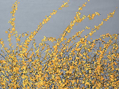 Simon Fairless Leinwanddruck, Polyester, Mehrfarbig, 60 x 80 cm von Simon Fairless