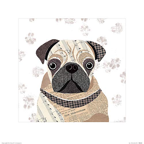 Simon Hart "Pug 40 x 40cm Kunstdruck von Simon Hart