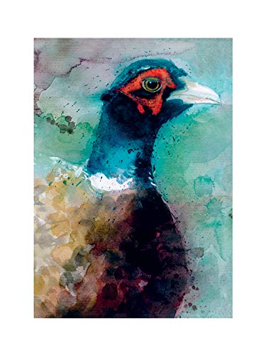 Simon Howden "Male Pheasant 30 x 40cm Kunstdruck von Simon Howden