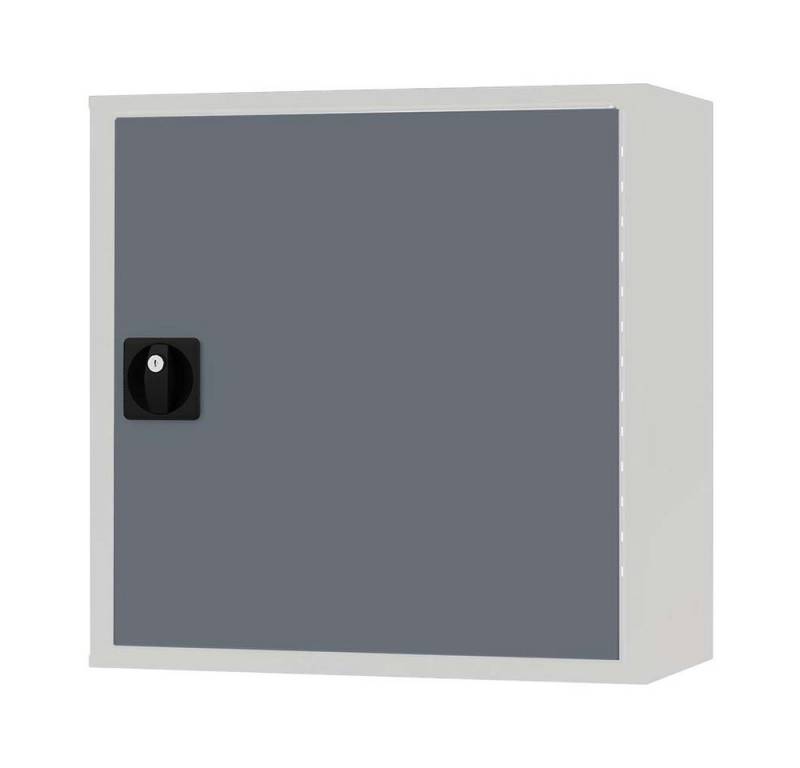 Simplaflex Hängeschrank Simplaflex Hängeschrank mit Flügeltüre Breite 600 mm von Simplaflex