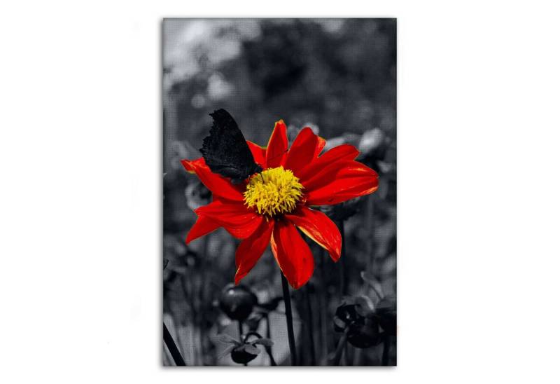 SimpleCanvas Wandbild Red Flower - Leinwandbild Landschaft von SimpleCanvas