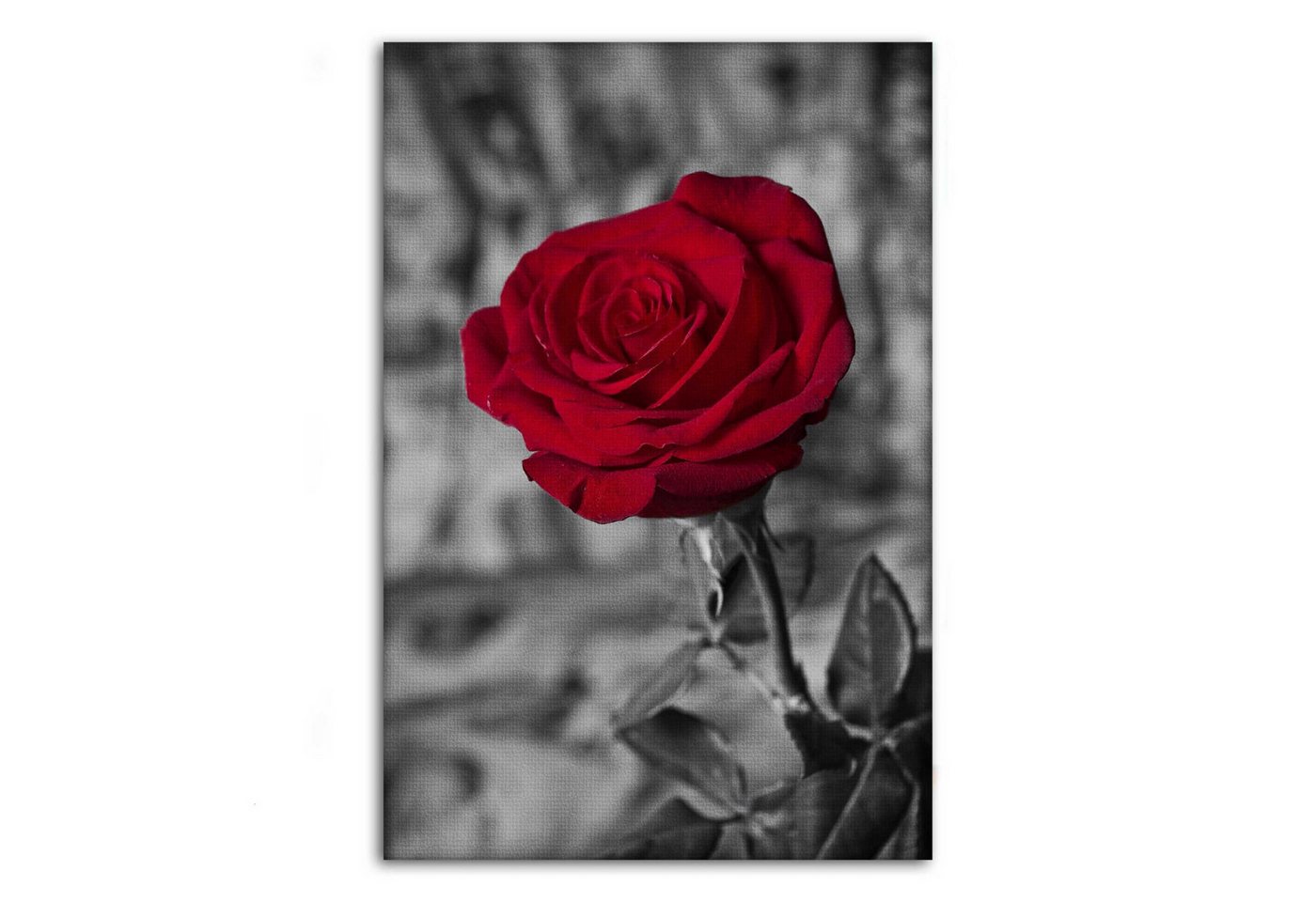 SimpleCanvas Wandbild Red Rose - Leinwandbild Landschaft SimpleCanvas Wandbild Red Rose - Leinwandbild Landschaft von SimpleCanvas