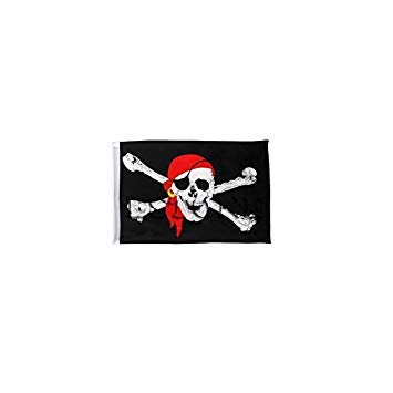 SimpleLife 1 Stück Große Schädel Crossbones Piratenflagge Jolly Roger Hängen Mit Tülle Keine Pole 45x30 cm von SimpleLife