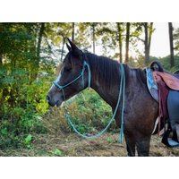 Alltagstaugliches Soft Halfter Mit Verschiebbarem Ring Und Passendem Geflochtenem Blei-Nasenband von SimpleLoops
