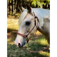 Sliding Ring Soft Rope Halfter Voll Anpassbares Weiches Seil Mit Passender Geflochtener Leine Und Seitenringen - Flacher Nasenriemen-stil von SimpleLoops