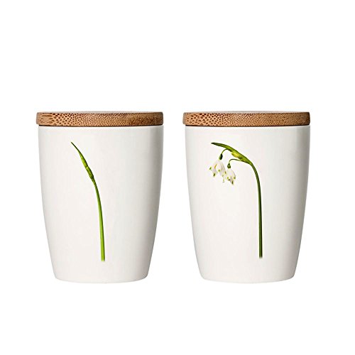 Simply Flowers - Tasse, Kaffeetasse, Teetasse, Vorratsdose - mit Bambusdeckel - Motiv: Märzenbecher- 240 ml - 1 Stück von Simply Flowers