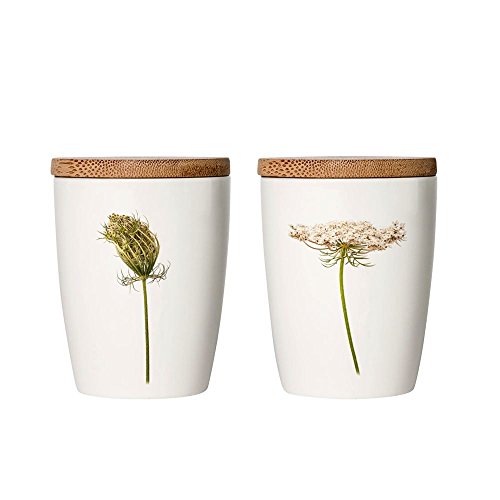 Simply Flowers - Tasse, Kaffeetasse, Teetasse, Vorratsdose - mit Bambusdeckel - Motiv: Wilde Möhre - 240 ml von Simply Flowers