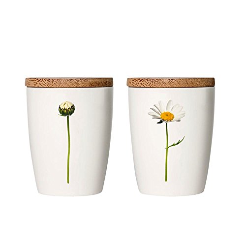 Simply Flowers - Tasse, Kaffeetasse, Teetasse, Vorratsdose - mit Bambusdeckel - Motiv: Margerite - 240 ml von Simply Flowers