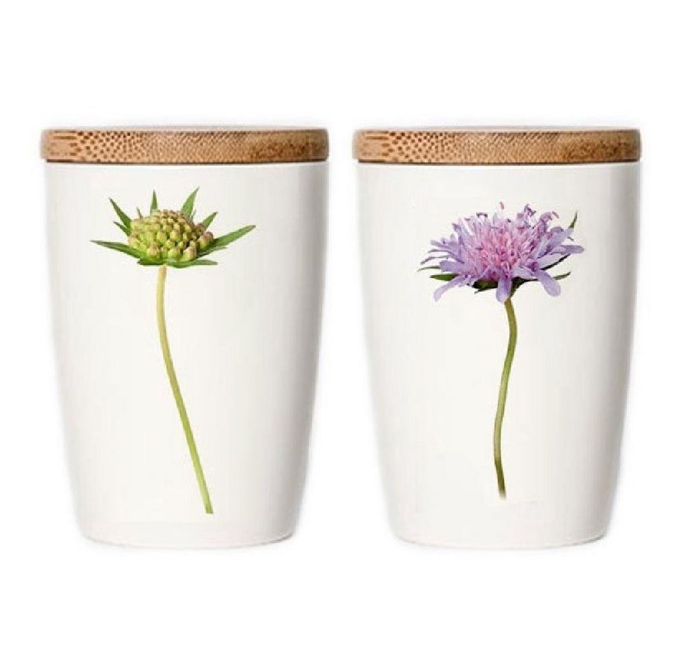 Simply Flowers Vorratsdose Tasse Acker Witwenblume (Groß) von Simply Flowers