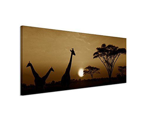 150x50cm Wandbild Panorama Fotoleinwand Bild in Sepia Sonnenuntergang Safari Giraffen Serengeti Nationalpark von Sinus Art