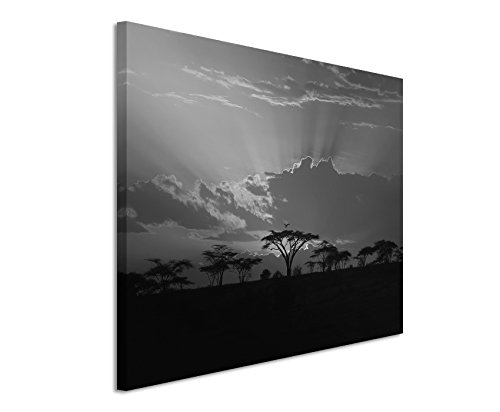 50x70cm Wandbild Fotoleinwand Bild in Schwarz Weiss Sonnenuntergang Afrika Akazienbaum von Sinus Art