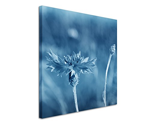60x60cm Wandbild Fotoleinwand Bild in Blau Nahaufnahme Kornblume von Sinus Art