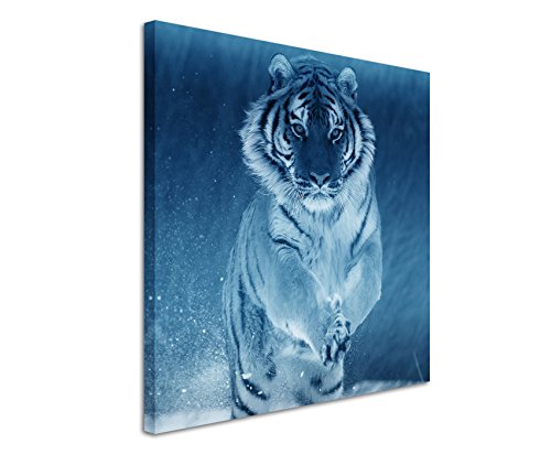 60x60cm Wandbild Fotoleinwand Bild in Blau Sibirischer Tiger im Schnee von Sinus Art