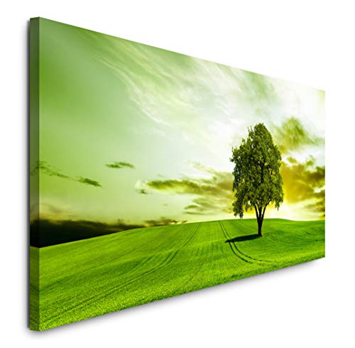 Paul Sinus Art GmbH Baum im grünen 120x 50cm Panorama Leinwand Bild XXL Format Wandbilder Wohnzimmer Wohnung Deko Kunstdrucke von Sinus Art