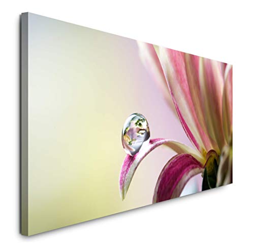 Paul Sinus Art GmbH Chrysanthemenblüte mit Wassertropfen 120x 50cm Panorama Leinwand Bild XXL Format Wandbilder Wohnzimmer Wohnung Deko Kunstdrucke von Sinus Art