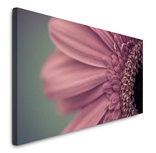 Paul Sinus Art GmbH Dunkles Pink 120x 50cm Panorama Leinwand Bild XXL Format Wandbilder Wohnzimmer Wohnung Deko Kunstdrucke von Sinus Art