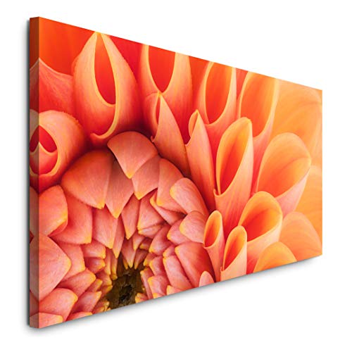 Paul Sinus Art GmbH orange Blumenblüte 120x 50cm Panorama Leinwand Bild XXL Format Wandbilder Wohnzimmer Wohnung Deko Kunstdrucke von Sinus Art